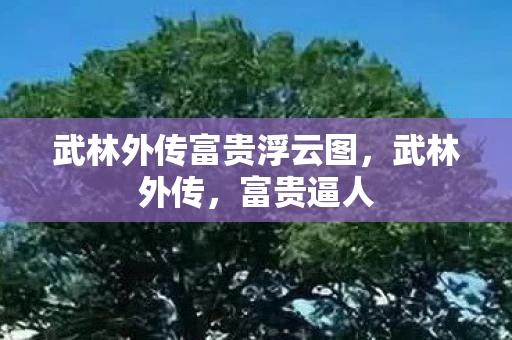 武林外传富贵浮云图,武林外传,富贵逼人 武林外传富贵浮云图,武林外传,富贵逼人