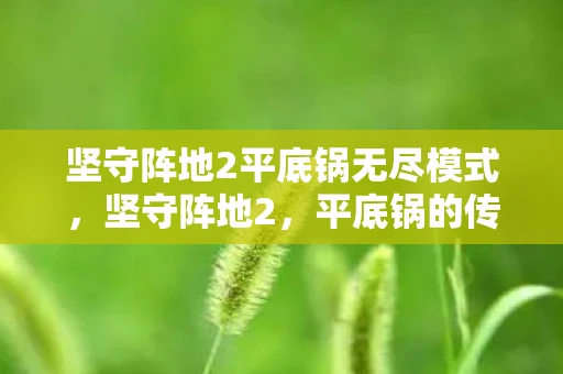 坚守阵地2平底锅无尽模式，坚守阵地2，平底锅的传奇故事