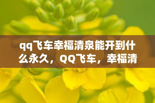 qq飞车幸福清泉能开到什么永久，QQ飞车，幸福清泉的奇妙之旅