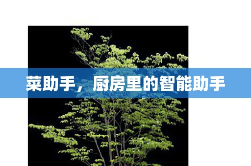 菜助手，厨房里的智能助手