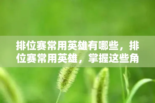 排位赛常用英雄有哪些,排位赛常用英雄,掌握这些角色,助你轻松上分 排位赛常用英雄有哪些,排位赛常用英雄,掌握这些角色,助你轻松上分