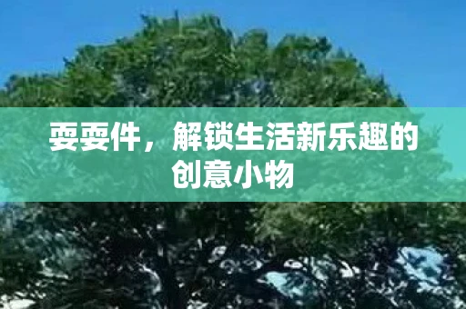 耍耍件，解锁生活新乐趣的创意小物