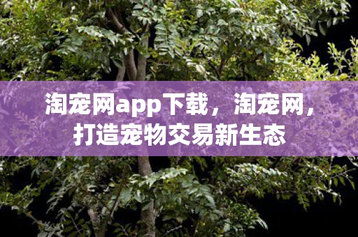 淘宠网app下载，淘宠网，打造宠物交易新生态