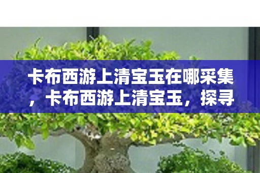 卡布西游上清宝玉在哪采集，卡布西游上清宝玉，探寻古老传说中的神秘宝石