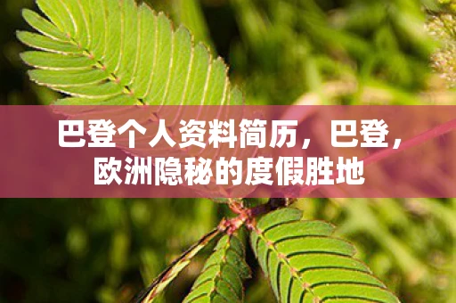 巴登个人资料简历，巴登，欧洲隐秘的度假胜地