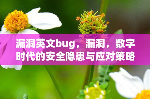 漏洞英文bug，漏洞，数字时代的安全隐患与应对策略