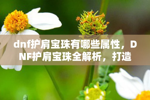 dnf护肩宝珠有哪些属性，DNF护肩宝珠全解析，打造最强肩部的秘密武器