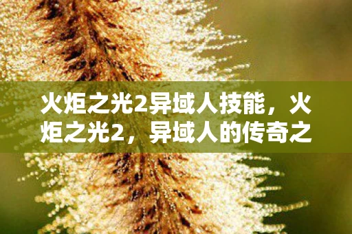 火炬之光2异域人技能，火炬之光2，异域人的传奇之旅