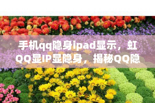 手机qq隐身ipad显示，虹QQ显IP显隐身，揭秘QQ隐藏功能