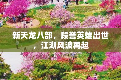 段誉英雄出世图片
