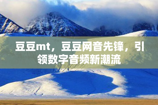 豆豆mt，豆豆网音先锋，引领数字音频新潮流