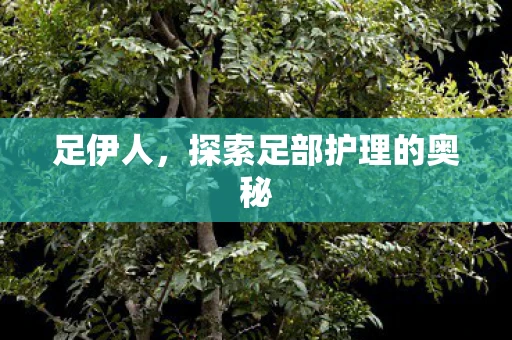 足伊人，探索足部护理的奥秘