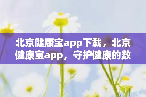 北京健康宝app下载，北京健康宝app，守护健康的数字卫士
