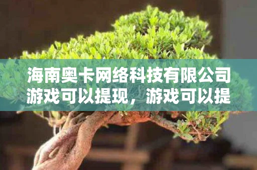 海南奥卡网络科技有限公司游戏可以提现，游戏可以提现，解锁数字时代的财富密码