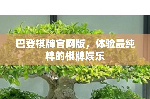 体验最纯粹的棋牌娱乐图片