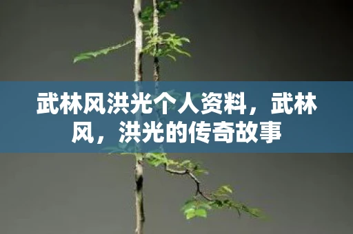 武林风洪光个人资料，武林风，洪光的传奇故事