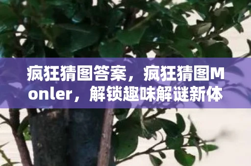 疯狂猜图答案，疯狂猜图Monler，解锁趣味解谜新体验