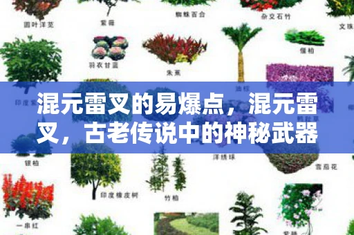 混元雷叉的易爆点，混元雷叉，古老传说中的神秘武器