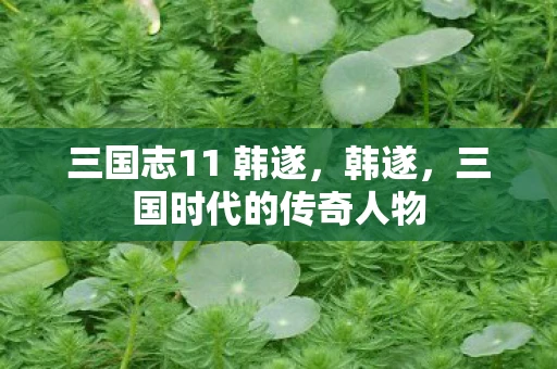 三国志11 韩遂，韩遂，三国时代的传奇人物