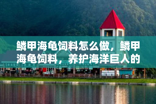 鳞甲海龟饲料怎么做，鳞甲海龟饲料，养护海洋巨人的秘密