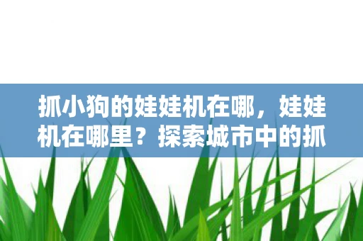 抓小狗的娃娃机在哪，娃娃机在哪里？探索城市中的抓娃娃乐趣
