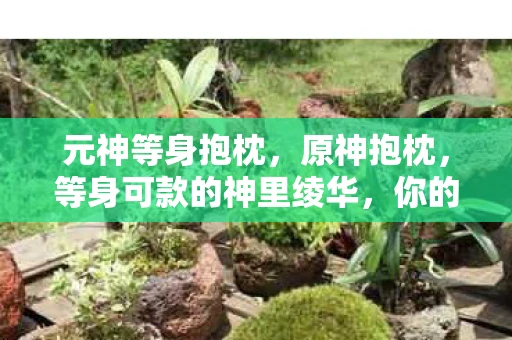 元神等身抱枕，原神抱枕，等身可款的神里绫华，你的居家新宠