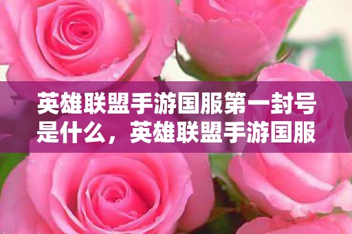 英雄联盟手游国服第一封号是什么，英雄联盟手游国服第一封号，游戏规则的底线与玩家的责任