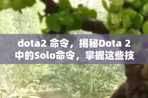 dota2 命令，揭秘Dota 2中的Solo命令，掌握这些技巧，提升你的游戏水平
