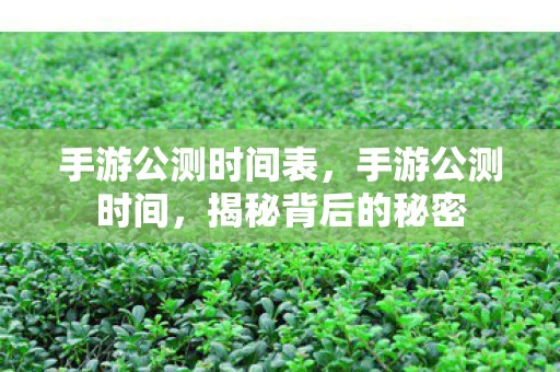 手游公测时间表，手游公测时间，揭秘背后的秘密