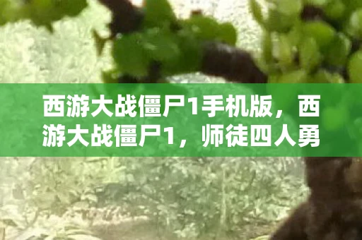 西游大战僵尸1手机版，西游大战僵尸1，师徒四人勇闯僵尸世界