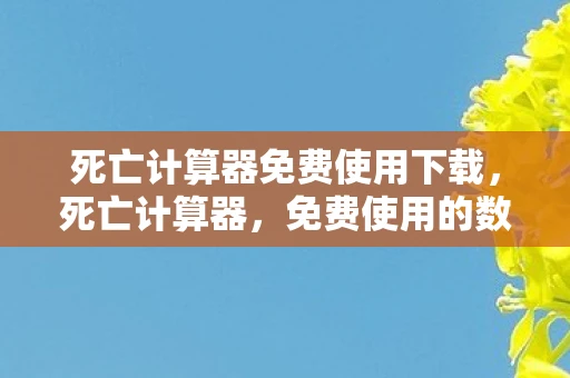死亡计算器免费使用下载,死亡计算器,免费使用的数字游戏 死亡计算器免费使用下载,死亡计算器,免费使用的数字游戏