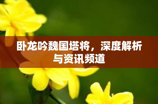 深度解析与资讯频道图片