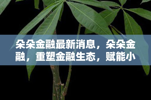 朵朵金融最新消息，朵朵金融，重塑金融生态，赋能小微企业