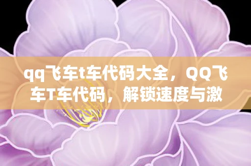 qq飞车t车代码大全，QQ飞车T车代码，解锁速度与激情的密码