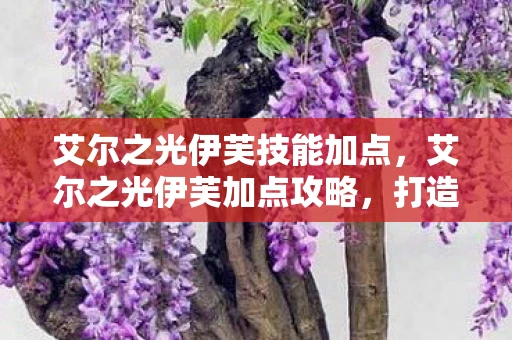 艾尔之光伊芙技能加点,艾尔之光伊芙加点攻略,打造最强角色 艾尔之光伊芙技能加点,艾尔之光伊芙加点攻略,打造最强角色