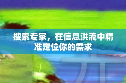 搜索专家，在信息洪流中精准定位你的需求