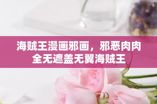 海贼王漫画邪画，邪恶肉肉全无遮盖无翼海贼王