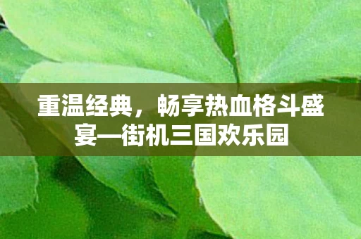 畅享热血格斗盛宴图片