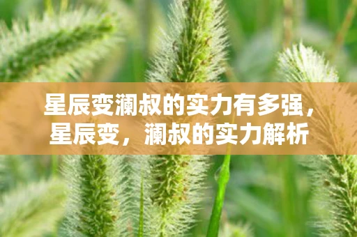 星辰变澜叔的实力有多强，星辰变，澜叔的实力解析