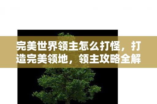 完美世界领主怎么打怪，打造完美领地，领主攻略全解析