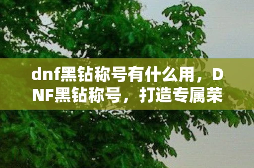dnf黑钻称号有什么用，DNF黑钻称号，打造专属荣耀，彰显玩家实力