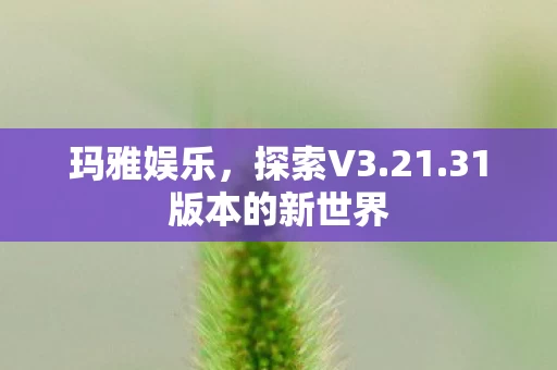 31版本的新世界图片