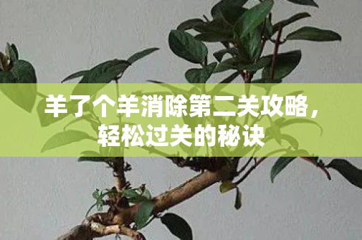 羊了个羊消除第二关攻略,轻松过关的秘诀 羊了个羊消除第二关攻略,轻松过关的秘诀