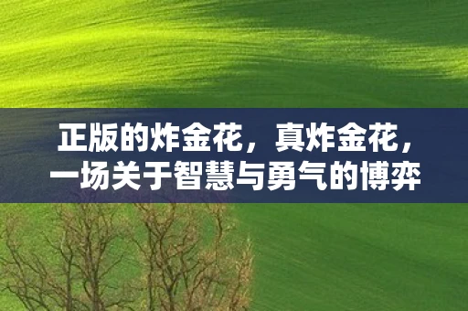 正版的炸金花，真炸金花，一场关于智慧与勇气的博弈