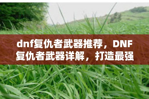 dnf复仇者武器推荐，DNF复仇者武器详解，打造最强战斗力的必备利器