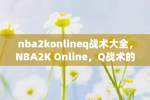 nba2konlineq战术大全,NBA2K Online,Q战术的全面解析与实战应用 nba2konlineq战术大全,NBA2K Online,Q战术的全面解析与实战应用