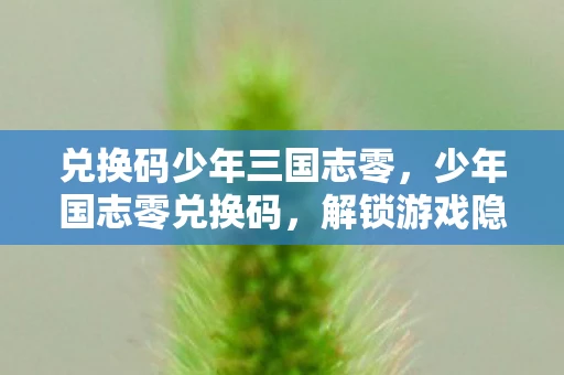 兑换码少年三国志零，少年国志零兑换码，解锁游戏隐藏福利的秘籍