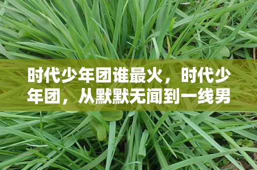 时代少年团谁最火，时代少年团，从默默无闻到一线男团的华丽蜕变