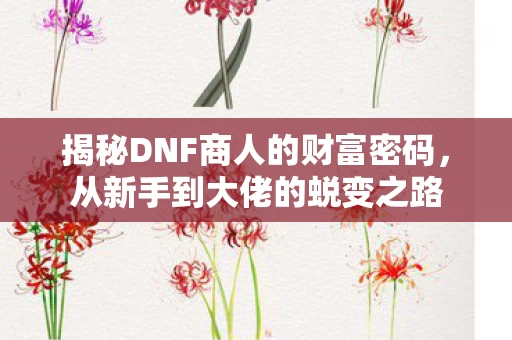 揭秘DNF商人的财富密码图片