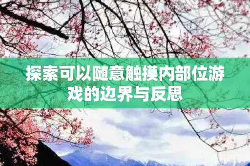 探索可以随意触摸内部位游戏的边界与反思
